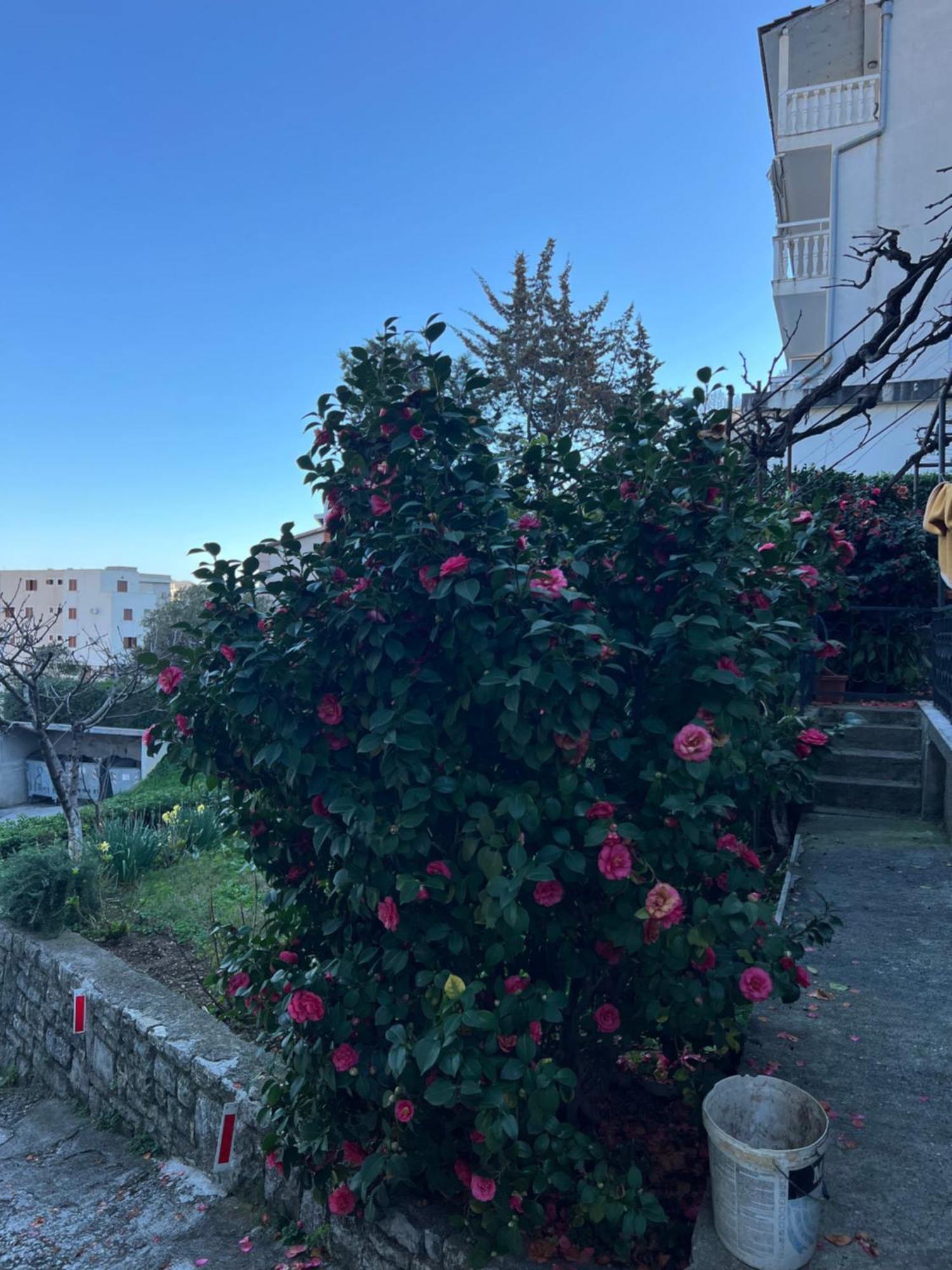 Guest House Plima 2 Μπούντβα Εξωτερικό φωτογραφία