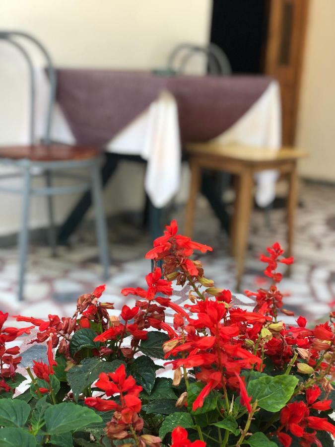Guest House Plima 2 Μπούντβα Εξωτερικό φωτογραφία